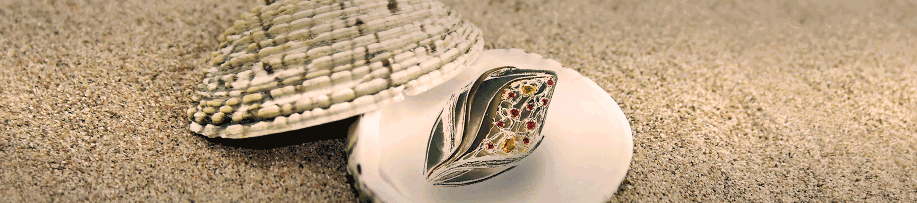 collection-banner-image
