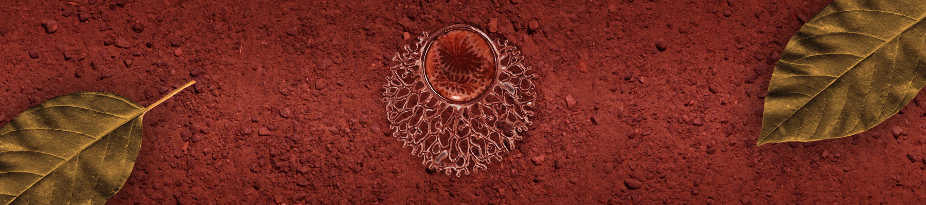 collection-banner-image