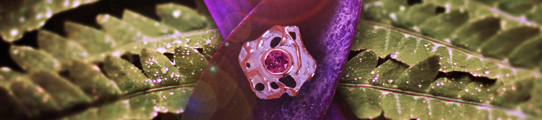 collection-banner-image