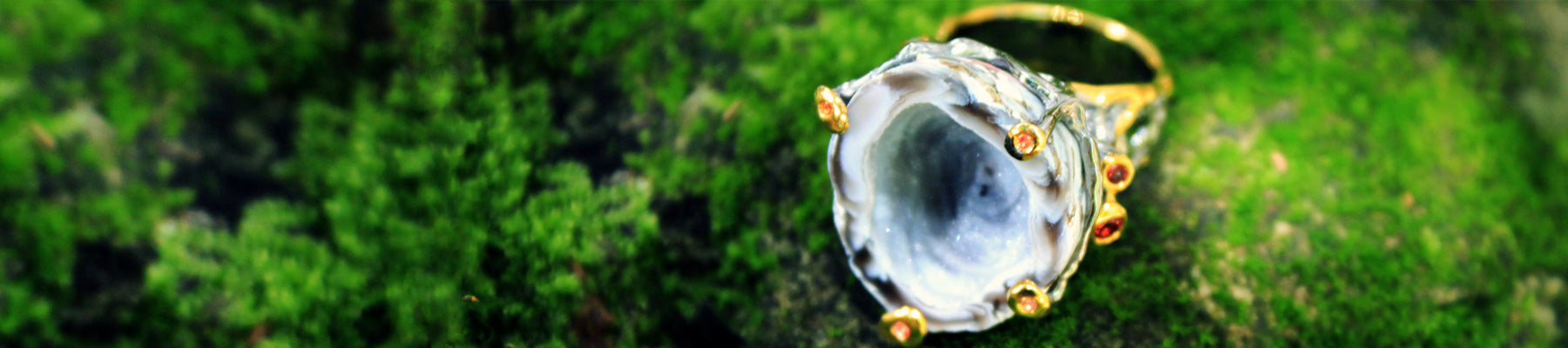 collection-banner-image
