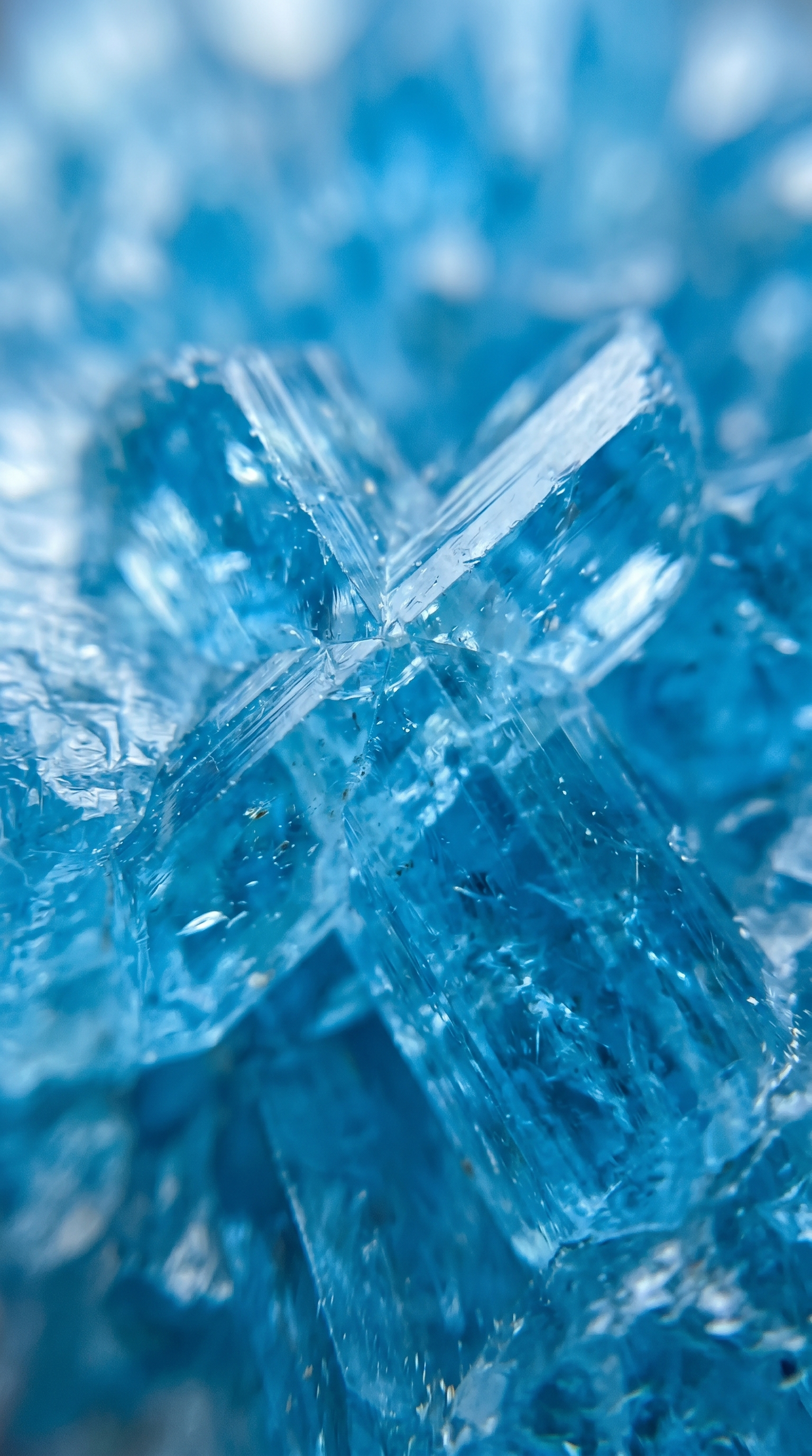 collection-banner-image