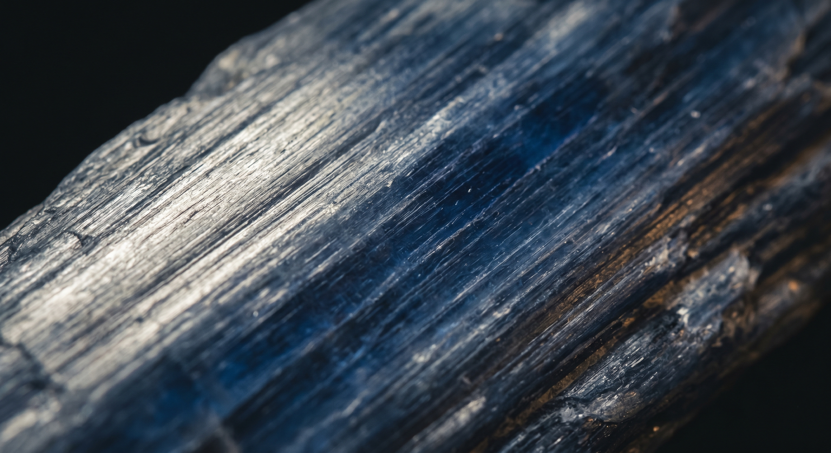 collection-banner-image