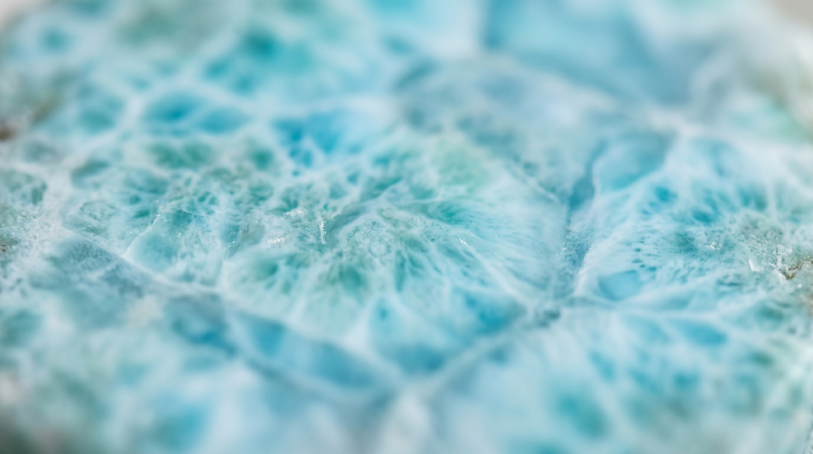 collection-banner-image