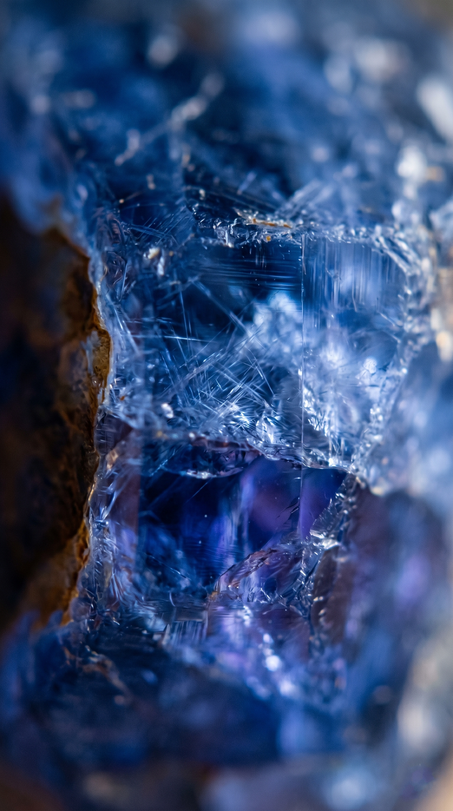 collection-banner-image
