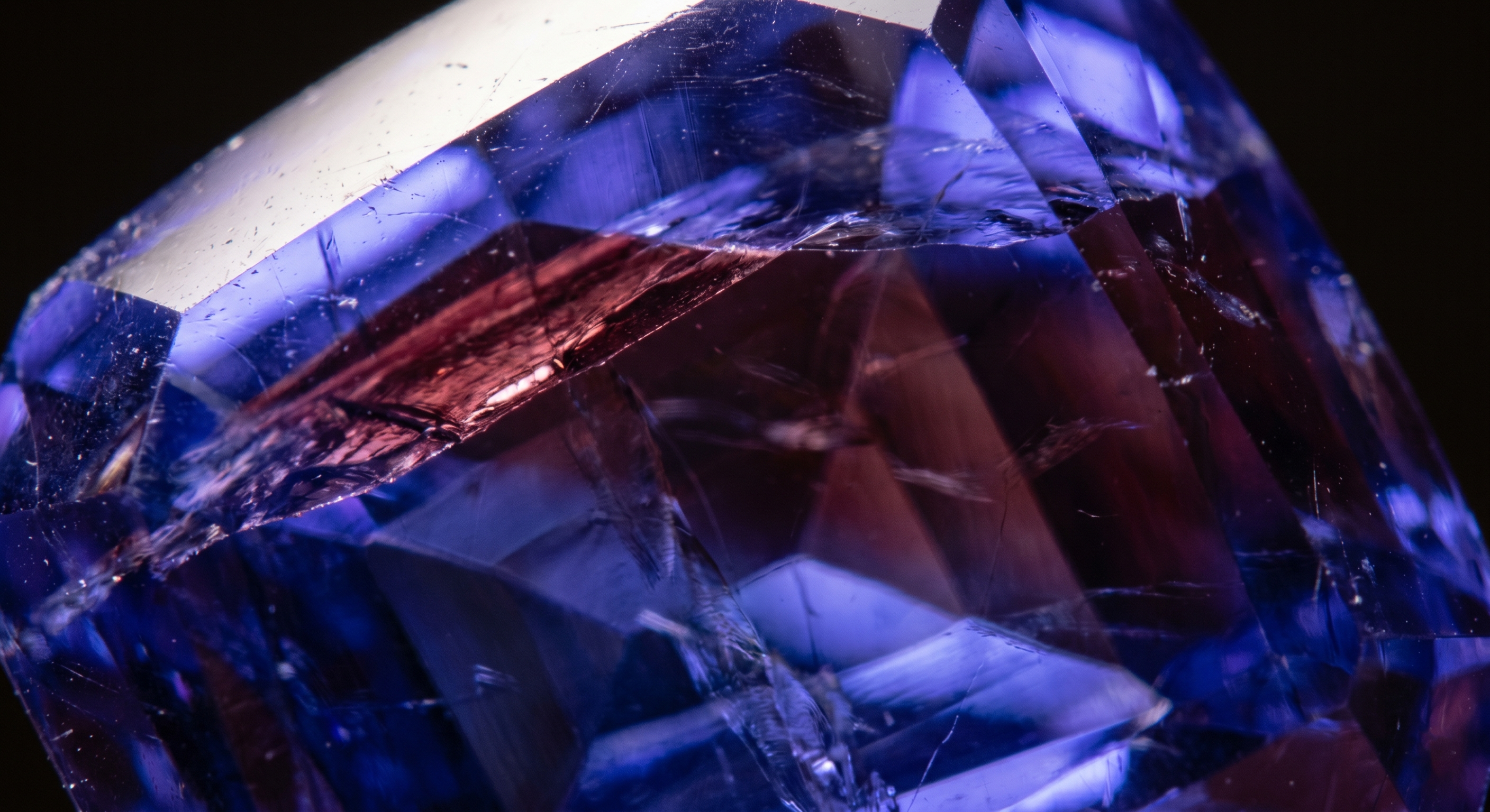collection-banner-image