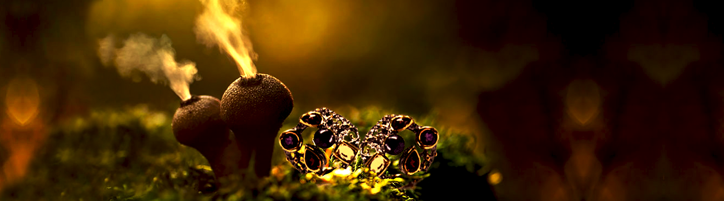 collection-banner-image